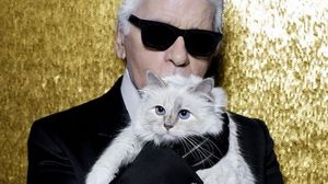 Ce se întamplă chiar acum cu cea mai bogată pisică din lume