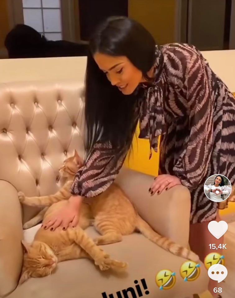 Cine are grijă acum de pisicile alintate din Turcia, din casa Puterea Dragostei, după plecarea Andreei Mantea?