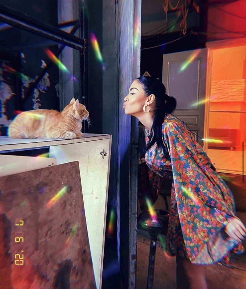 Cine are grijă acum de pisicile alintate din Turcia, din casa Puterea Dragostei, după plecarea Andreei Mantea?