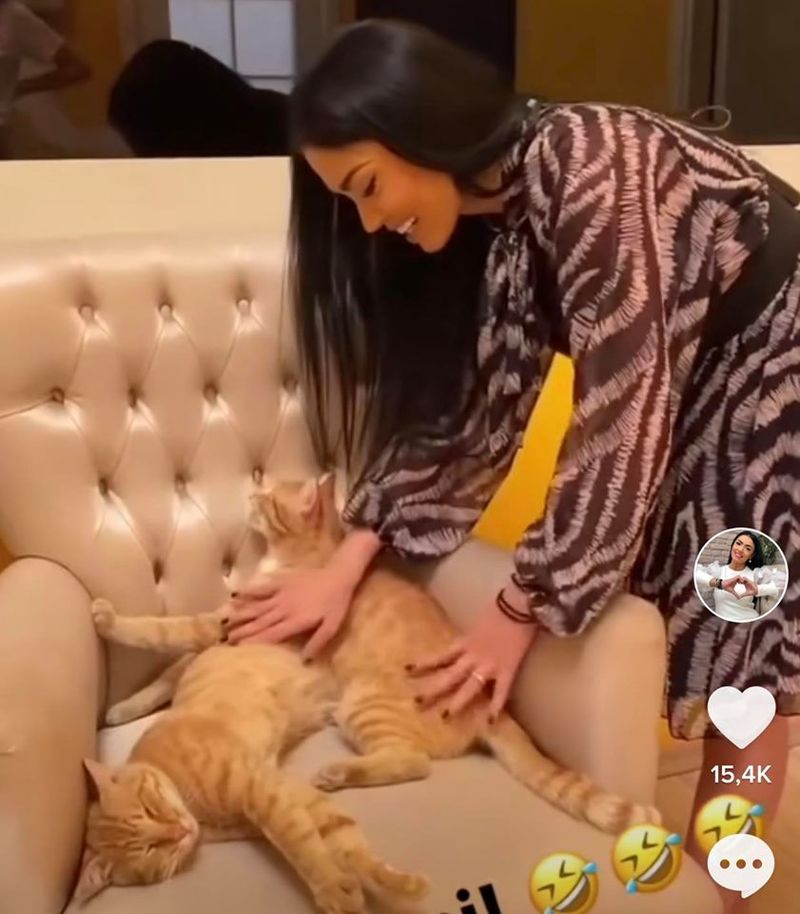 Cine are grijă acum de pisicile alintate din Turcia, din casa Puterea Dragostei, după plecarea Andreei Mantea?