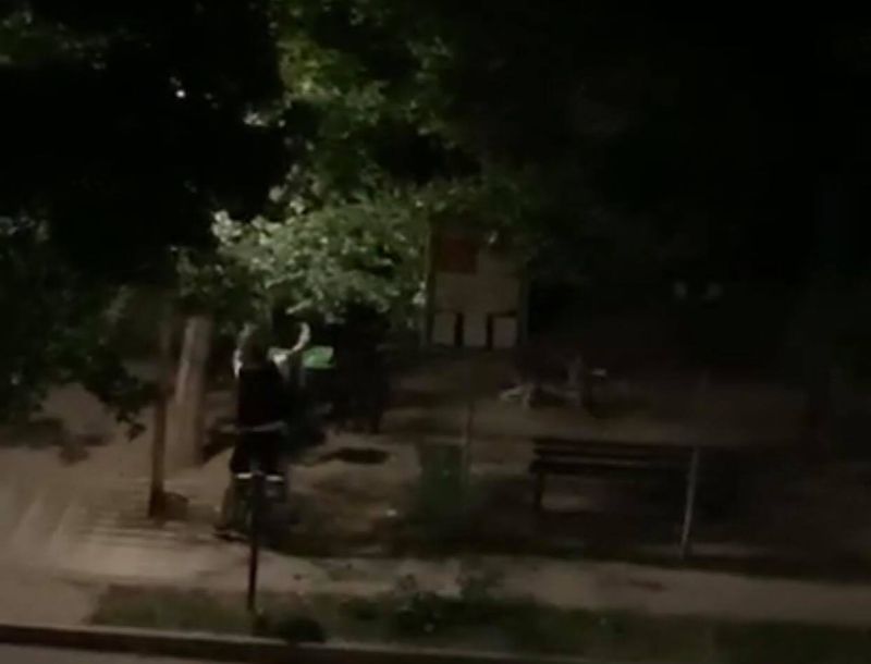 Cruzime fără margini! Doi tineri s-au ales cu dosar penal după ce au bătut un câine. Patrupedul a fost chinuit și lovit fără milă!