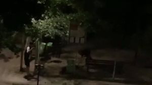 Cruzime fără margini! Doi tineri s-au ales cu dosar penal după ce au bătut un câine. Patrupedul a fost chinuit și lovit fără milă!