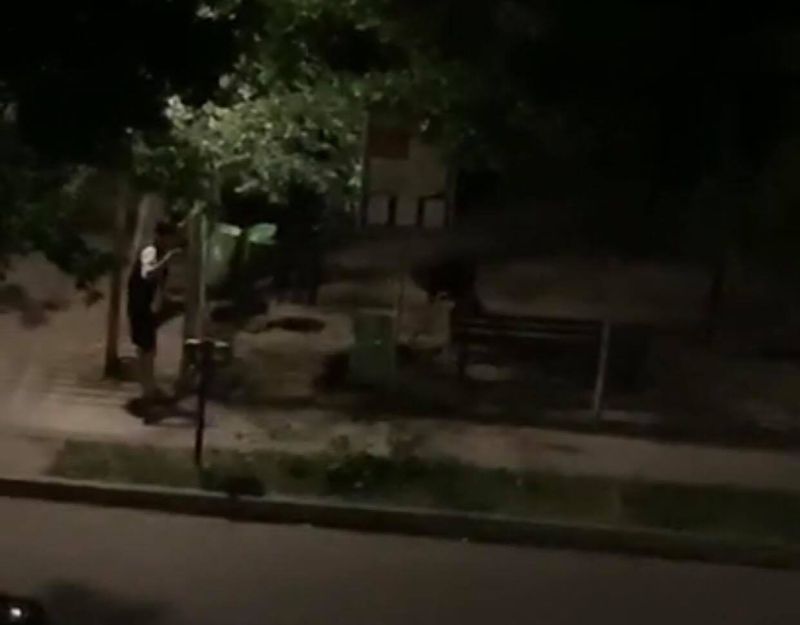 Cruzime fără margini! Doi tineri s-au ales cu dosar penal după ce au bătut un câine. Patrupedul a fost chinuit și lovit fără milă!