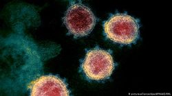 Coronavirus! Descoperire incredibilă a medicilor. Pe unde intră, de fapt, virusul în corp 