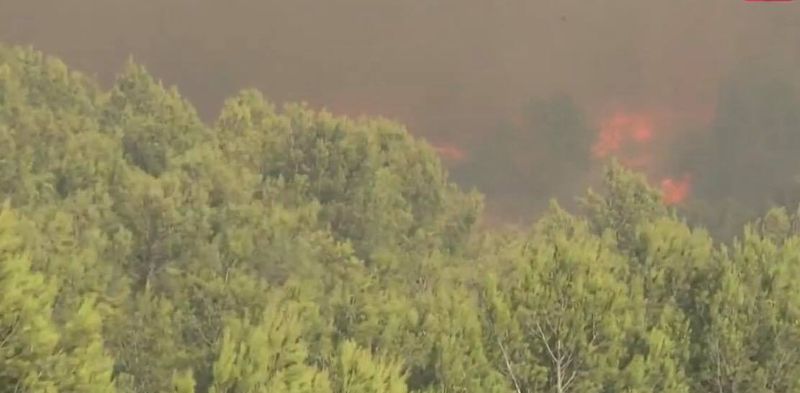 Imagini devastatoare de pe litoral! Mii de persoane au fost evacuate, în urma unui incendiu. Flăcările puternice au făcut ravagii