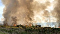 Incendiu puternic lângă București! 10 hectare de teren ard la Periș, iar RO-Alert a transmis un mesaj