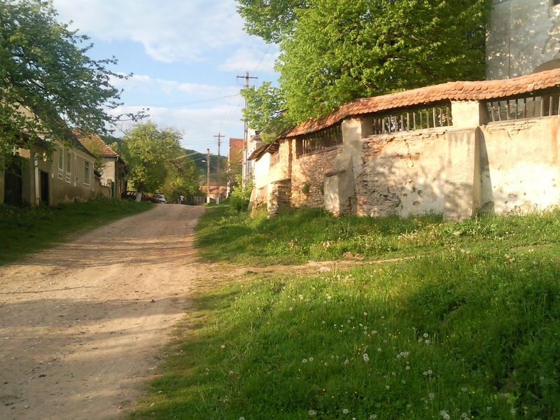 Povestea tragică a femeii care a fost omor&acirc;tă de iubitul ei, cu un topor