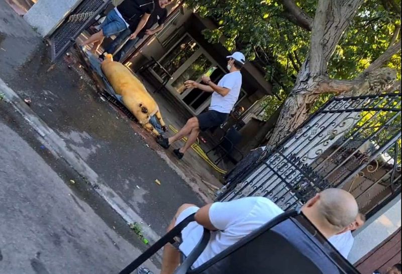 Emi Pian era mort și clanul Rinu sărbătorea! Emi Pian era mort și clanul Rinu sărbătorea!