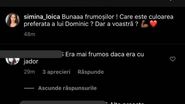 Comentarii Simina Loica 