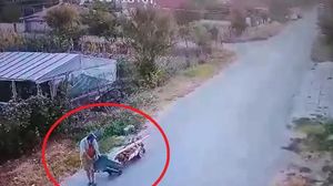 Bărbat prins de poliție când își ducea tatăl mort într-un cărucior la cimitir