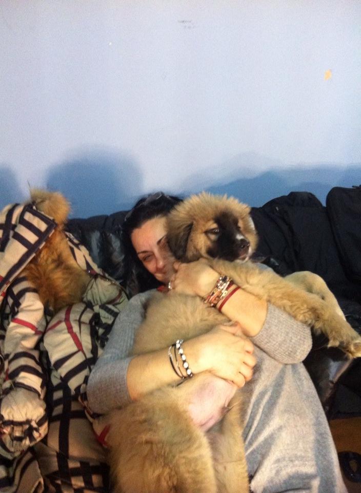 Carmen Tănase, mare iubitoare de animale Carmen Tănase, apel public pentru țarcurile de căței