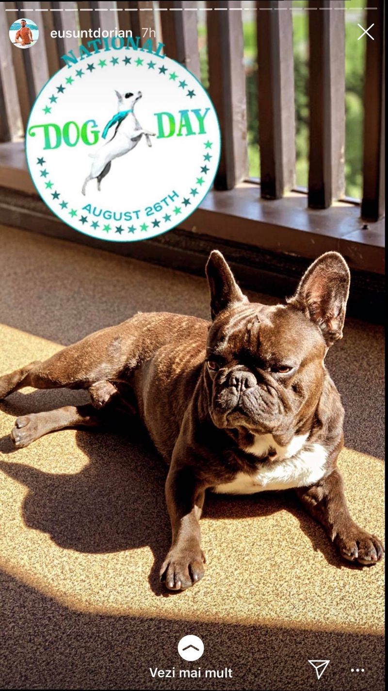 Dorian Popa a dat lovitura &icirc;n trending cu &rdquo;&Icirc;noată Cheluțu&rdquo;