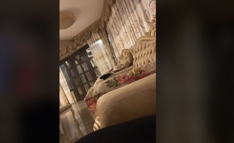 Emi Pian casa