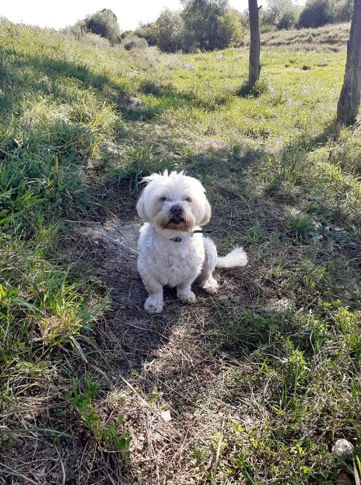 Apel către umanitate