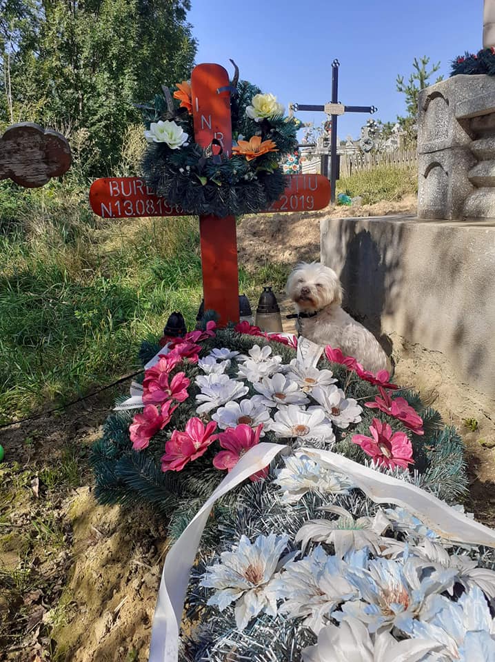 Apel către umanitate