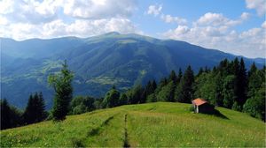  Un român vinde aer îmbuteliat și colectat din Munții Carpați