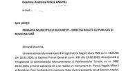 Andreea Anghel acte