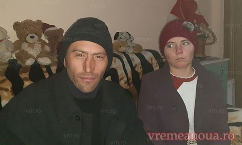 vulpita si viorel