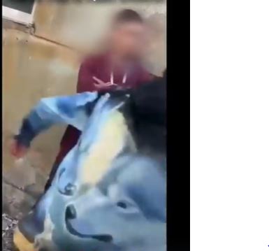 Copil de 14 ani, bătut de alți trei adolescenți