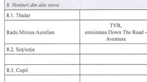 mircea radu declaratie avere