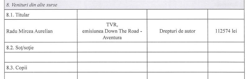 mircea radu declaratie avere