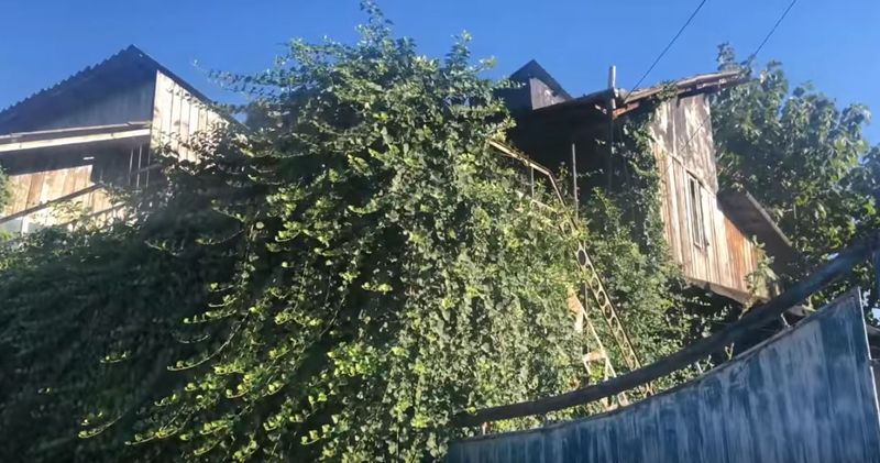 casa gheorghe dinca 2020