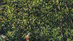 Ionuț Gojman de la Insula, transformare spectaculoasă! Cum arată acum fostul iubit al Mirelei Baniaș