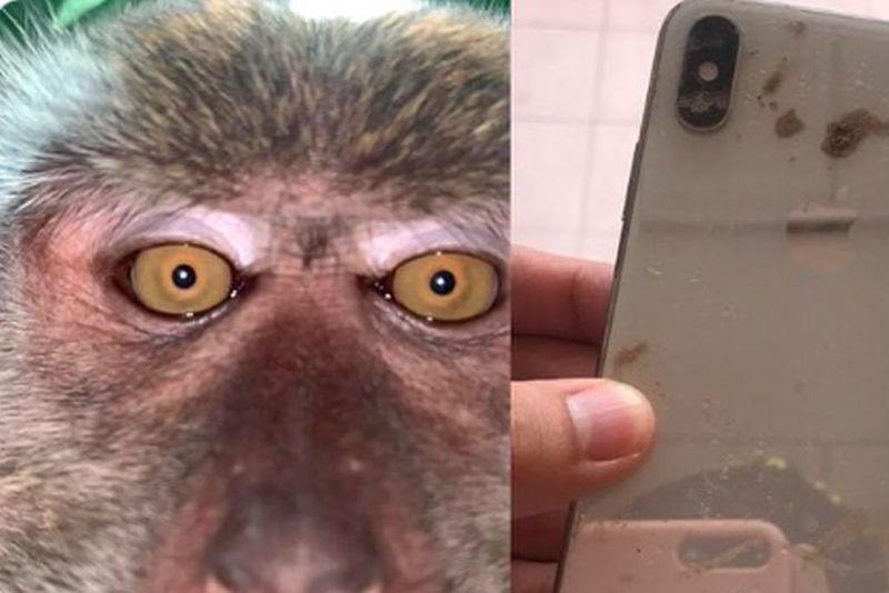 Pierdut telefon &icirc;n pădure