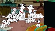 101 dalmatieni