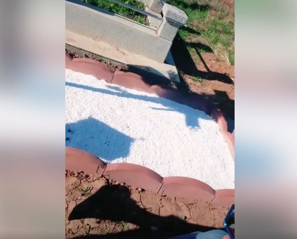 Tavy Puștiu morm&acirc;nt