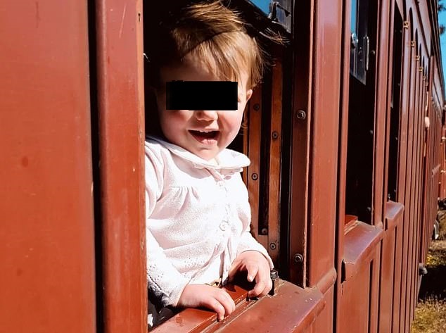 Anna Seagren, micuța de 17 luni ucisă de mașina părinților
