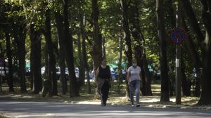 Irina Loghin coronavirus