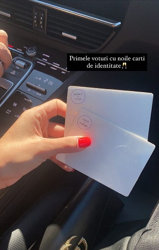 Adelina Pestrițu alegeri locale