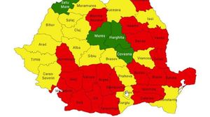 PSD, alegeri locale 2020