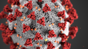 Coronavirus România