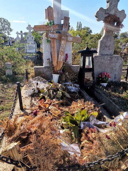Ion Manole