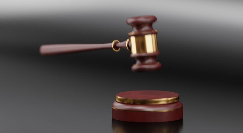 Diana, o româncă de 18 ani, acuzată că ar fi ”creierul” unei crime la Londra