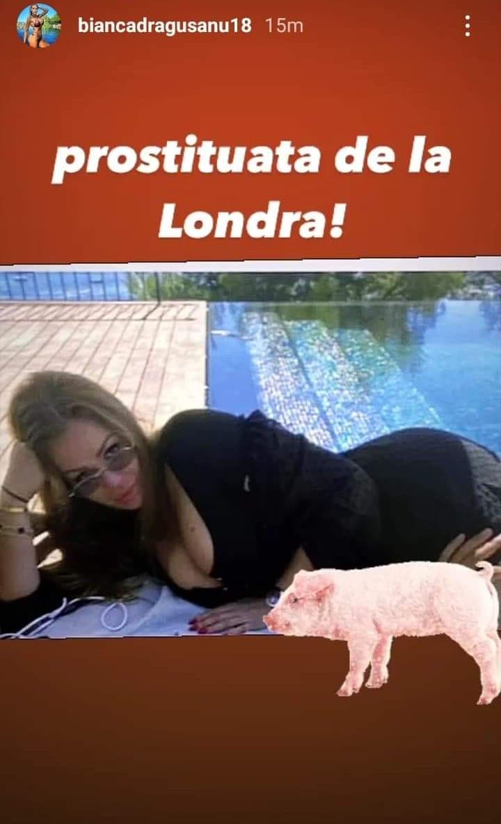 Bianca Drăgușanu ceartă