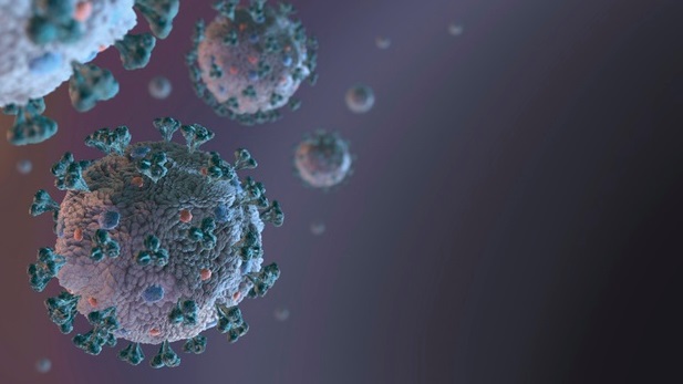 coronavirus