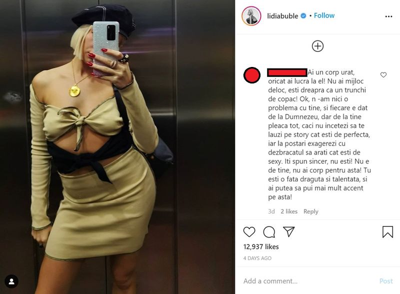 Lidia Buble, imaginea &icirc;n cauză