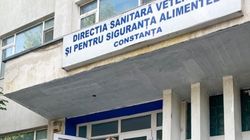 Emily Burghelea, revoltată în cazul pescărușului mort! Noi dezvăluiri șocante: „Omoară animale și chiar și oameni!”