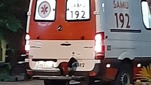 Gestul emoționant făcut de un câine pentru stăpânul lui