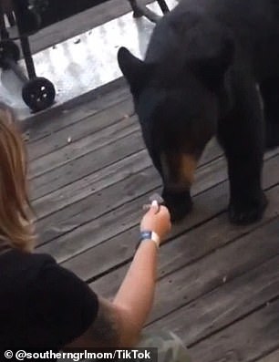 O tânără mamă, condamnată la închisoare după ce a hrănit un urs 