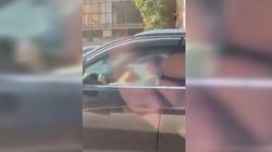 VIDEO. Mamă iresponsabilă, surprinsă în trafic. Femeia își alăpta bebelușul la volan, în loc să tragă pe dreapta