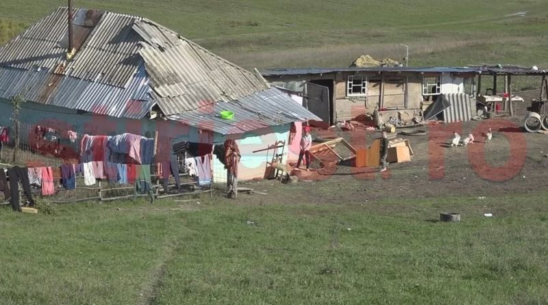 Cazul impresionant al fraților care &icirc;nvață de pe același telefon