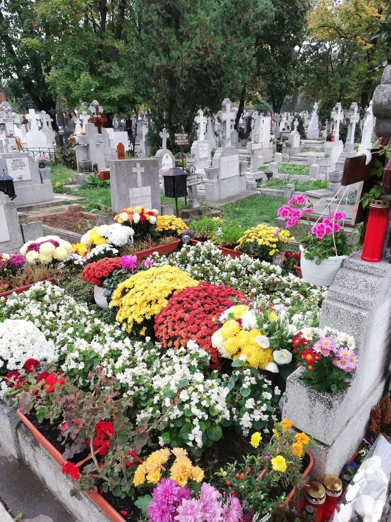 Mormantul lui Mihai Constantinescu, acoperit de flori