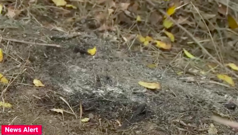 Imagini de la fața locului 