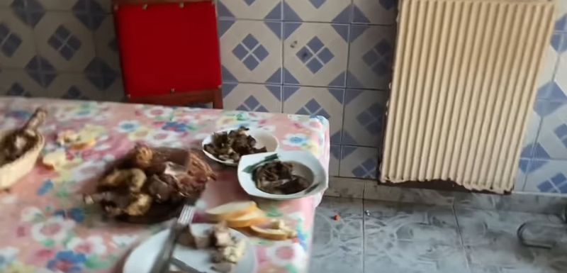 anca si leo de la strehaia, casa