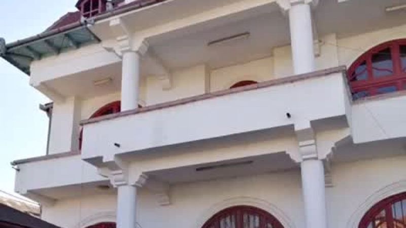 casa leo de la strehaia