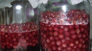 Cum se face vișinata Cum se face vișinata